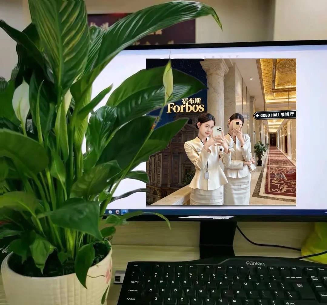 福布斯景区乐园冬季灯火巡游